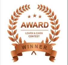 Bronze award medal for the Learn and Earn Contest